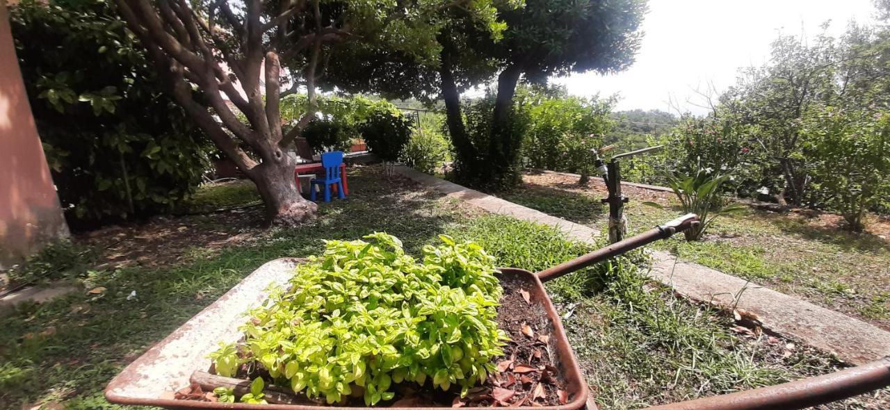 Ca Du Stea Villa Lavagna Exteriör bild